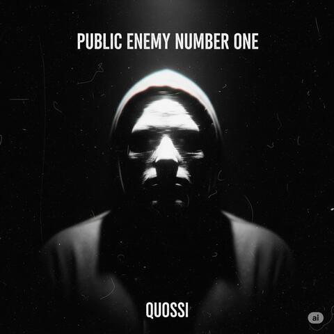 PUBLIC ENEMY NUMBER ONE