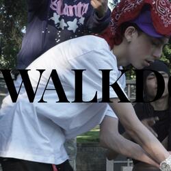 WALKDOWN
