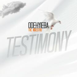 TESTIMONY