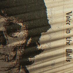 Voice in the Walls