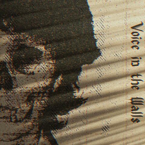 Voice in the Walls
