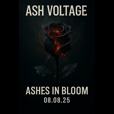 Ashes in Bloom! (classic folk-rock, indie folk-rock) (feat. Aeris Vale, Rook Nash, Jett Kael & Nova Raine)