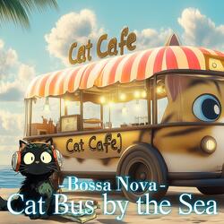 Meowditation Moments