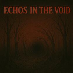 ECHOS IN THE VOID
