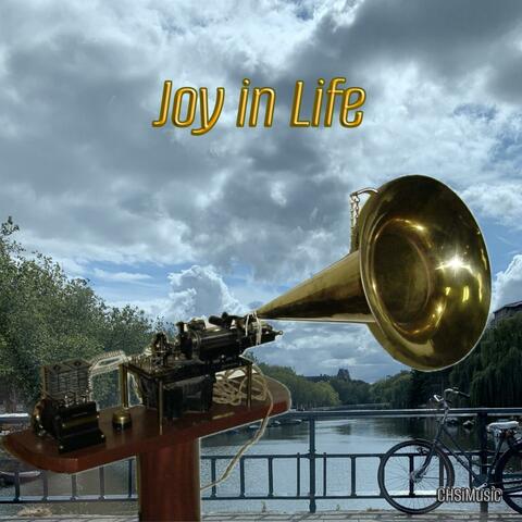 Joy in Life