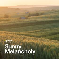 Учора була качечка моя