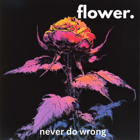 Never Do Wrong