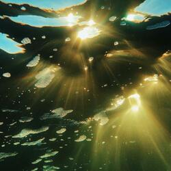 you say (sped up jerk hoodtrap)