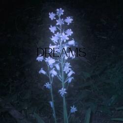 DREAMS