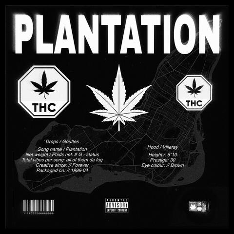Plantation