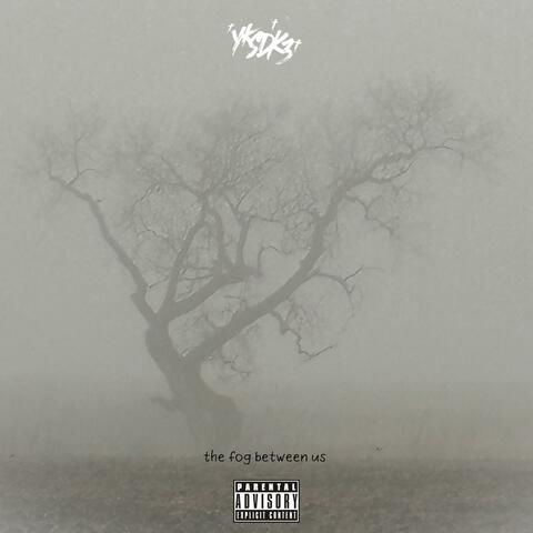 the fog between us