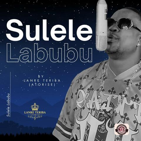 Sulele Labubu