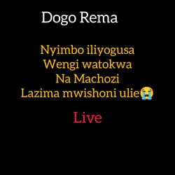 Dogo Rema Nyimbo yake iliyowagusa wengi watokwa na machozi