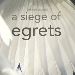 A Siege of Egrets