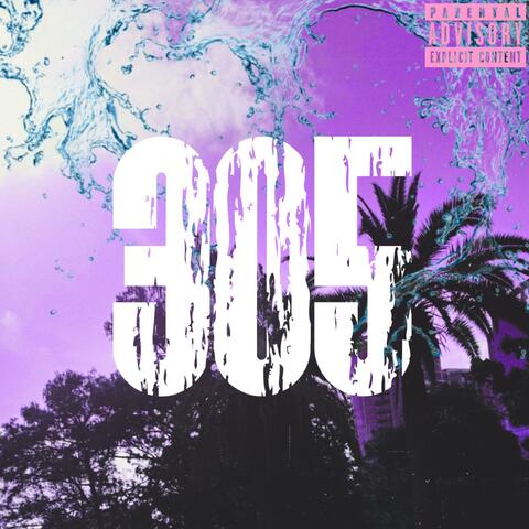 305