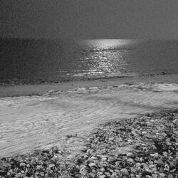 find me in the ocean