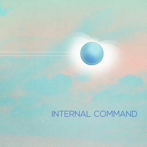 Internal Command