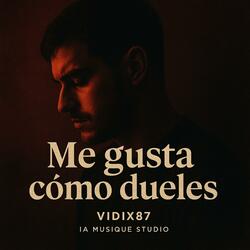 Me gusta cómo dueles - Vidix87