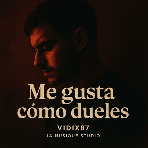 Me gusta cómo dueles - Vidix87