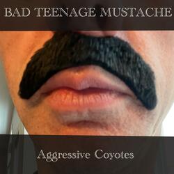 Bad Teenage Mustache