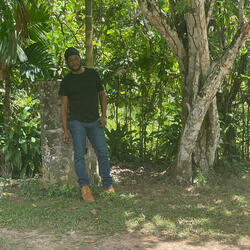 Reggae on the Highways