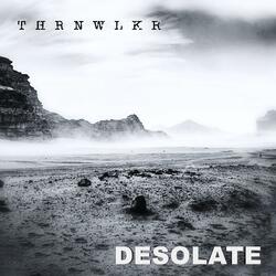 Desolate (feat. Chris Hisel)