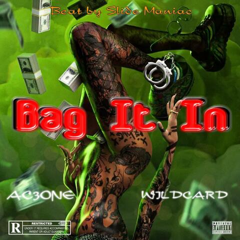 Bag It In (feat. Wildcard)