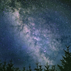 prozaczopixan reloaded (ambient phase shift)