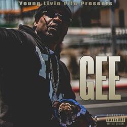Young Gee & Compton Av (Tik Tok) (feat. T2 Muzic)