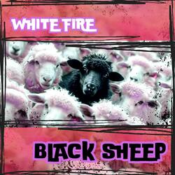 Black Sheep