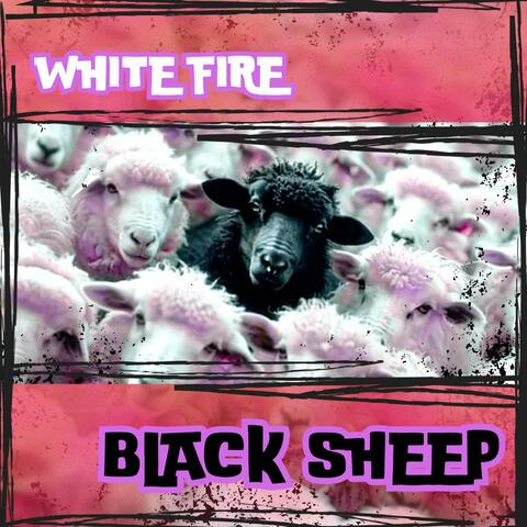 Black Sheep