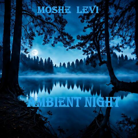 Ambient Night