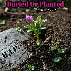 Buried Or Planted: Session #179