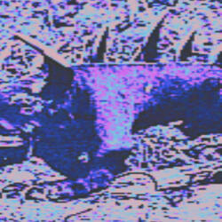 In Plain Sight (Demo)