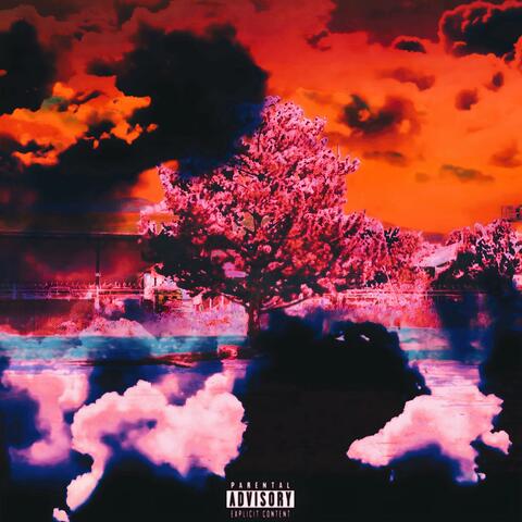 More_Soon