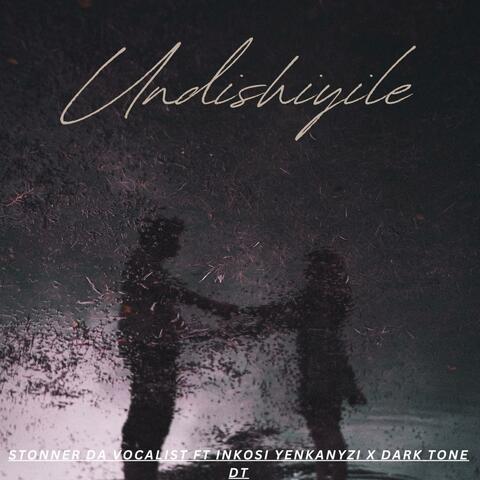 Undishiyile (feat. Stonner da vocalist, Inkosi yenkanyezi & Dark Tone DT)