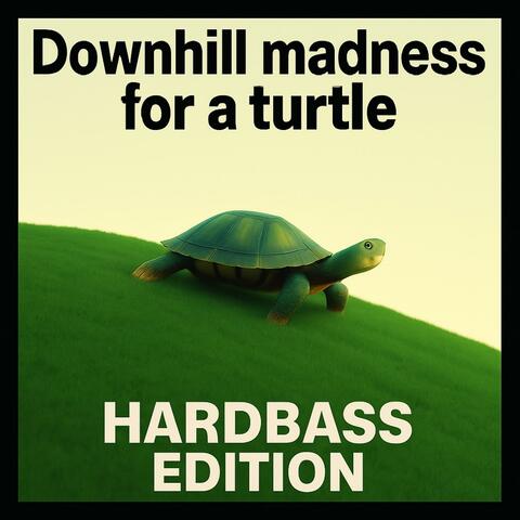 Downhill madness for a turtle @180 (Hardbass edition)