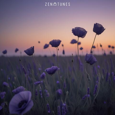 evening flowers