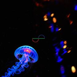 Peanut Butter Jellyfish