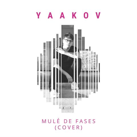 Mulher de Fases (cobrir)