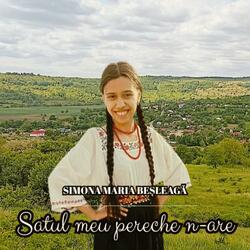 Satul meu pereche n-are