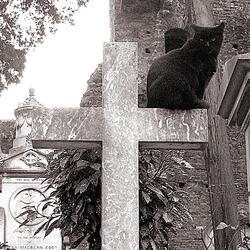 Epitaffio di un amore