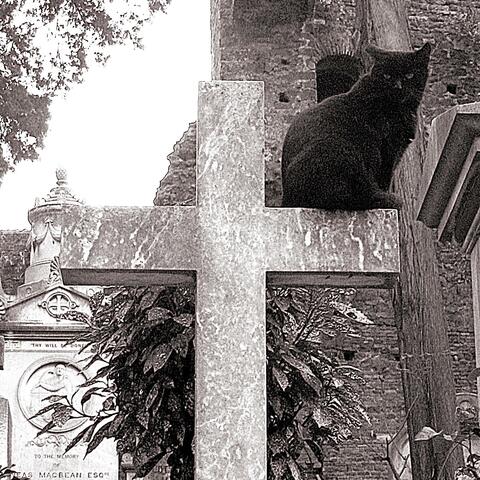 Epitaffio di un amore