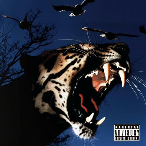 Pronto (feat. CEDEH & Puma)