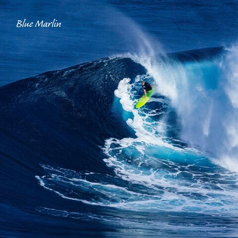 Blue Marlin