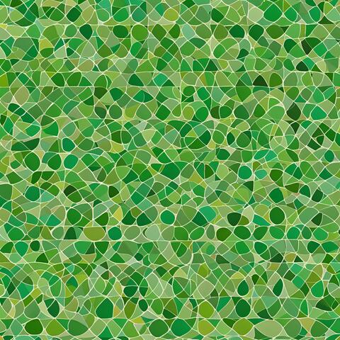 Chromatic Circle (Green)