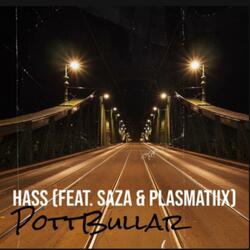 Hass (feat. SaZa & Plasmatiix)