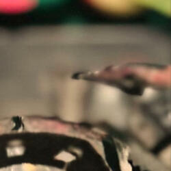 Boston (lets get sloppy mix)