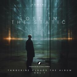 Lost in the static