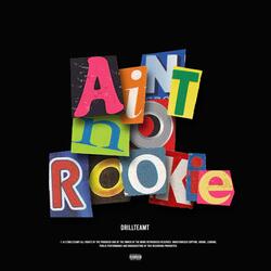 I Aint No Rookie (Radio Edit)